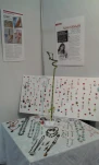 Sana Collection @ In Shape - Biel - Mars 2014